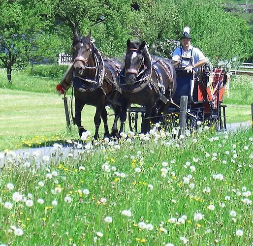 Tischlergut