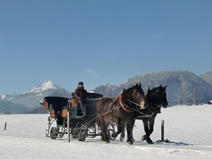 Agroturismo Tischlergut